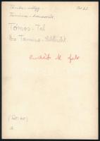 cca 1910 Brassó környéki hegyek, Tömös-völgy, Tarmina hasadék, Erdélyi Mór (1866-1934) felvétele, a ...