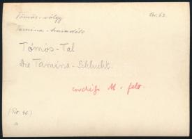 cca 1910 Brassó környéki hegyek, Tömös-völgy, Tarmina hasadék, Erdélyi Mór (1866-1934) felvétele, a ...