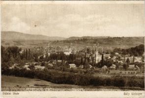 1931 Sály, látkép, bükki lőtér (vágott / cut)