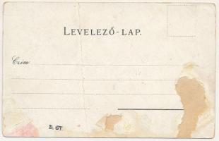 Kecskemét, látkép, színház, új városháza, nagytemplom, Katona József szobra. Steiner Mihály kiadása....