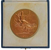 Franciaország 1900. "Francia Köztársaság / Párizsi Világkiállítás 1900" kétoldalas bronz emlékérem, adományozva "Dr. R. FABINYI" számára, peremén "BRONZE" beütéssel. Eredeti sérült tokban. Szign.: "J. C. Chaplain" (63mm) T:XF, karc, pici ph. France 1900. "REPUBLIQUE FRANCAISE / EXPOSITION UNIVERSELLE INTERNATONALE" (Republic of France / International Exposition Paris 1900) two-sided bronze commemorative medallion, awarded to "Dr. R. FABINYI", with "BRONZE" hallmark on the edge, in original, broken case. Sign.: "J. C. Chaplain" (63mm) C:XF, scratch, tiny edge error