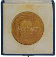 Franciaország 1900. "Francia Köztársaság / Párizsi Világkiállítás 1900" kétoldalas bronz e...