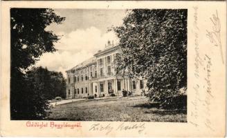 1904 Nagyláng (Soponya), Gróf Zichy kastély, park (EK)