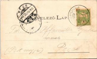 1904 Nagyláng (Soponya), Gróf Zichy kastély, park (EK)