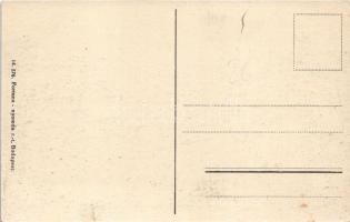 Zalacsány, Zala-Csány; Gróf Batthyány Pál kastélya (gyűrődés / crease)