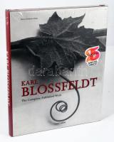 Hans Christian Adam: Karl Blossfeldt. The complete published work. [Köln],Taschen. Gazdag képanyaggal illusztrált. Kiadói kartonált papírkötés, kiadói papír védőborítóban, bontatlan zsugorfóliában.