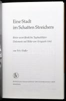 Fritz Nadler: Eine Stadt im Schatten Streichers. Bisher unveröffentlichte Tagebuchblätter. Dokumente...