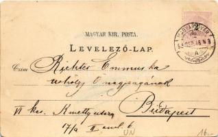 1898 Magyaróvár, Mosonmagyaróvár; Moson vármegye székháza (vármegyeháza), M. kir. gazdasági akadémia...