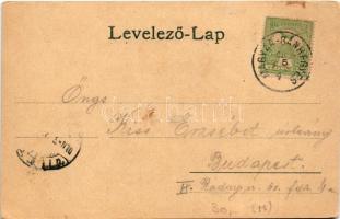 1907 Magyarbánhegyes, Magyar-Bánhegyes; Római katolikus templom, iskola, községháza, Fogyasztási szö...