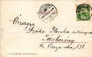 1908 Domoszló, Községháza, Iskola, fogyasztási szövetkezet üzlete és saját kiadása (EK)