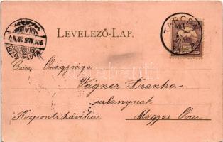 1901 Tarcsa, Tarcsafürdő, Bad Tatzmannsdorf; Mária villa, Gyógytér részlete, kollonád, Carolina vill...