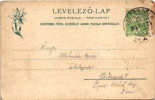 1909 Szepesbéla, Szepes-Béla, Spisská Belá (Szepes, Zips); Fő tér, Gyógyszertár, üzletek. Feitzinger...