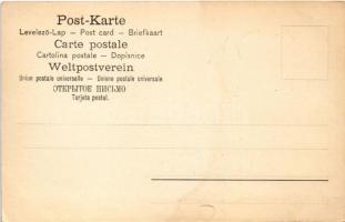 Tátraszéplak, Tatranska Polianka, Westerheim (Magas Tátra, Vysoké Tatry); Széplak szálloda, hegycsúc...