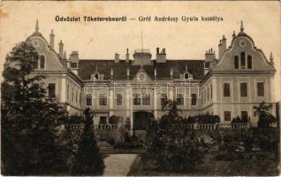 1919 Tőketerebes, Trebisov; Gróf Andrássy Gyula kastélya / castle (fl)