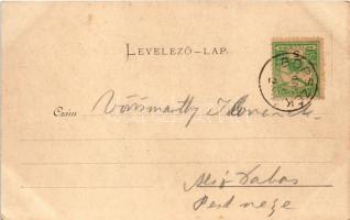 1902 Borszék, Borsec; Lobogó-fürdő / spa, bathhouse (EK)