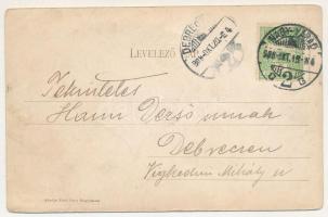 1908 Félixfürdő, Baile Felix; Bálint-forrás. Sebő Imre kiadása / spa, mineral spring source (ázott /...