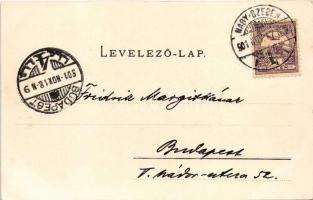 1901 Nagyszeben, Hermannstadt, Sibiu; Eingang zum Rathaus, Rathaushof / Bejárat a városházába, udvar...