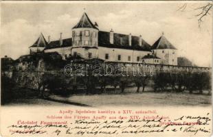 1902 Fogaras, Fagaras; Apaffy (Apafi) fejedelem kastélya a XIV. századból, vár. Fleissig Jakab kiadása / Schloss des Fürsten Apaffy aus dem XIV. Jahrhundert / castle (r)