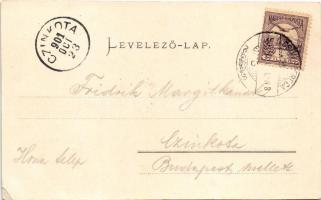 1901 Csíkszereda, Miercurea Ciuc; Megyeháza. Szvoboda József kiadása / county hall (EK)