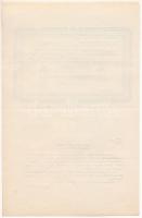 Hódmezővásárhely 1919.03.31. 100K "Hódmezővásárhelyi Takarékpénztár" pénztárjegye, egy old...