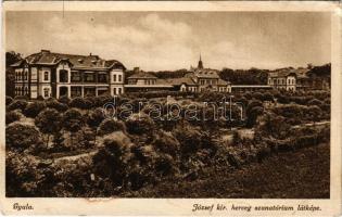 Gyula, József kir. herceg szanatórium látképe és saját kiadása (EB)