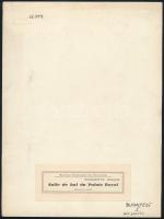 cca 1930-1939 Budapest, a Budavári Királyi Palota bálterme, nagyméretű fotó, a hátoldalon a Székesfő...