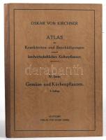 Oskar von Kirchner: Atlas der Krankheiten und Beschädigungen unserer landwirtschaftlichen Kulturpfalnzen. IV. serie: Krankheiten und Beschädigungen der Gemüse- und Küchenpflanzen. 2. Auflage. Bearbeitet von der Wilh. Lang. Stuttgart, 1927., Eugen Ulmer, 4;+3+1;+4;+3+1;+3+1;+4;+3+1;+3+1;+3+1;3+1;+4;+4;+3+1;+3+1;+3+1 p. + 14 t. Német nyelven. Kiadói félvászon mappában, kissé kopott borítóval.