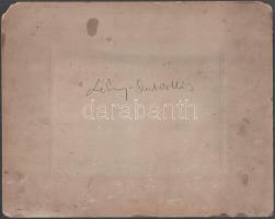 cca 1890 Lébényszentmiklós (Mosonszentmiklós), Győr-Moson-Sopron, vasútállomás vasúti hajtánnyal, ka...