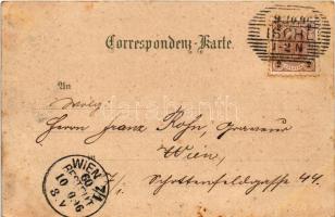 1896 Bad Ischl, Trinkhalle, Kurhaus. H. Metz / spa, bath. Art Nouveau, floral, litho (fl)