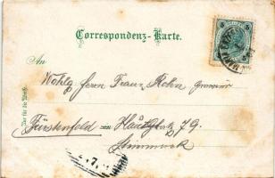 Maria Enzersdorf, Totale, Schloss Liechtenstein, Kirche mit Kloster / pilgrimage church, castle. Lud...