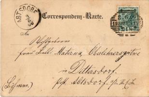 1900 Wien, Vienna, Bécs I. Stefansthurm vom Graben aus / Stephen's Cathedral, shops. C. Lederma...