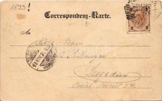 1893 Wiener Neustadt, Bécsújhely; Verlag J.F. Gleditsch, Fotogr. K. Gottwald / general view (b)