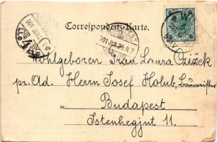 1901 Wien, Vienna, Bécs; Alt-Wien, Mehlmarkt (Neuer Markt). Verlag Emil Storch / market (EM)