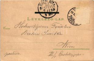 1898 Budapest I. Tabán, Várkert rakpart, gőzhajó. Loius Glaser Art Nouveau, floral, litho (szakadás ...