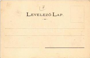 Bártfa, Bártfafürdő, Bardejovské Kúpele, Bardiov, Bardejov; Kilátás a Deák szállodától, ásványfürdők...