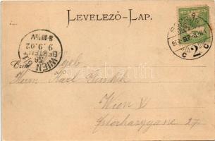 1902 Sopron, látkép. L. Kummert 96. (EK)