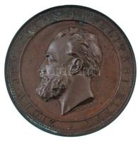Anton Scharff (1845-1903) 1879. "Zichy Jenő Gróf Kiállítási Elnök / Az 1879. évi Székesfehérvári Országos Kiállítás Létesítőjének" bronz, kétoldalas, vert emlékérem (65mm) T:AU patina Hungary 1879. "Zichy Jenő Gróf Kiállítási Elnök / Az 1879. évi Székesfehérvári Országos Kiállítás Létesítőjének" bronze, double-sided, struck commemorative medallion (65mm) C:AU patina