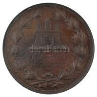 Anton Scharff (1845-1903) 1879. "Zichy Jenő Gróf Kiállítási Elnök / Az 1879. évi Székesfehérvár...