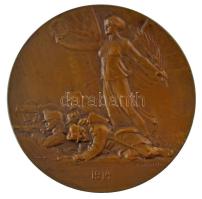 Osztrák-Magyar Monarchia 1914. "Az első világháború kezdete" bronz, kétoldalas, vert emlék...