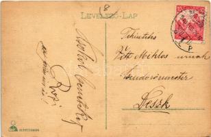 1918 Nagybecskerek, Zrenjanin, Veliki Beckerek; látkép, Kelemen, Kugler Lipót és Fia, Tolveth Károly...