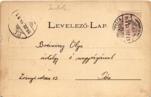 1898 Nyíregyháza, Színház, Korona szálloda, Vármegyeháza, Evangélikus templom. Art Nouveau, floral (...