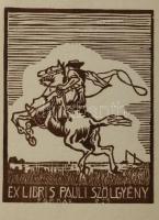 Klf. magyar és külföldi alkotók (Gábor Jenő, Domján József, Kálmán Zoltán, Vecserka Zsolt, stb.): 27...