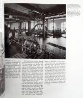 Wolfgang Behringer: Löwenbräu. Von den Anfängen des Münchener Brauwessens bis zur Gegenwart. München...