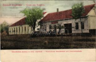 Bogáros, Bulgarus; Nick. Abendschein áruház, Községi népiskola / shop, school (EK)