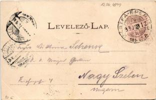 1899 Bártfa, Bardiov, Bardejov; Látkép. Divald Adolf 10. sz. / general view + "BÁRTFA-EPERJES 1...