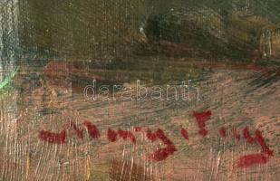 Margitay Tihamér (1859-1922): Pásztoróra (A széptevő). Olaj, vászon, jelezve balra lent, 38×47 cm. A...