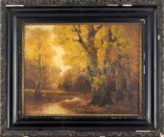Olvashatatlan jelzéssel: Őszi erdő. Olaj, vászon, 40,5×50,5 cm. Dekoratív, sérült fakeretben.