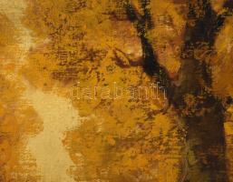 Olvashatatlan jelzéssel: Őszi erdő. Olaj, vászon, 40,5×50,5 cm. Dekoratív, sérült fakeretben