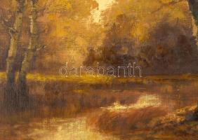 Olvashatatlan jelzéssel: Őszi erdő. Olaj, vászon, 40,5×50,5 cm. Dekoratív, sérült fakeretben