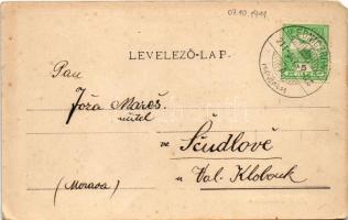 1911 Lednicróna, Lednicz-Rovne, Lednicz-Rownye, Lednické Rovne; Park (EM)